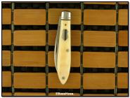 Tony Bose Teardrop Prototype