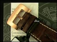 AP  Arnold's All-Stars Limited Edition